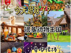 -郑州银基国际旅游度假区