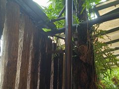 -自然餐厅(Phuket)