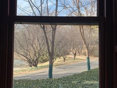 -北京动物园-畅观楼