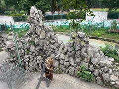 -成都动物园