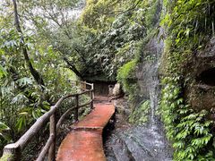 -碧峰峡风景区