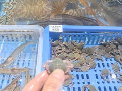 -海味世家·家常菜馆(明州里店)