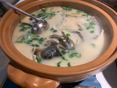 -姜君·千岛湖鱼头馆(浦东大道店)