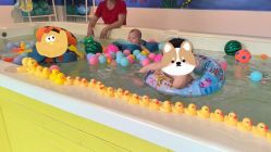 点击看大图 -欢乐悠游婴儿游泳(金碧花园店)