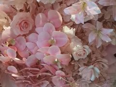-洛阳宴·洛阳菜(南昌路店)