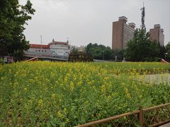 -BHG生活超市(安贞店)