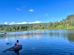 -五营红松林海景区