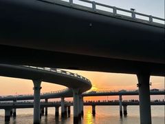 -演武大桥观景平台