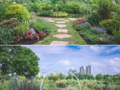 -庐山风景区花径公园