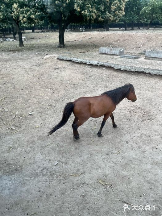 西安秦岭野生动物园图片