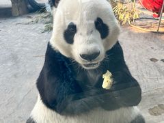 -石家庄市动物园