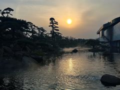 -罗红摄影艺术馆