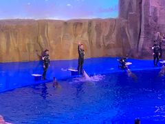 -华夏文旅海洋公园