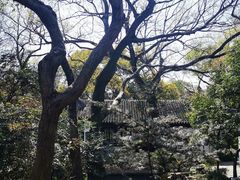 -秋霞圃