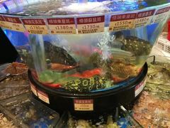 -陶陶居海鲜酒家(新马路店)