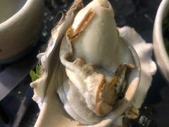 -千岛蚝高压锅生蚝·人参火锅(白云万达店)