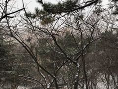 -信号山公园