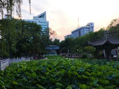 -莲湖公园