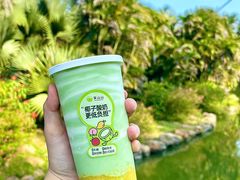 -吴山山·椰子酸奶(天河南店)