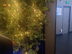 -水秀坊·足道 SPA 按摩(巨鹿路店)