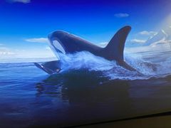 -CGV影城(黄河道ScreenX店)