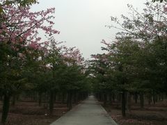 -润记农家菜