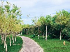 -大港湿地公园