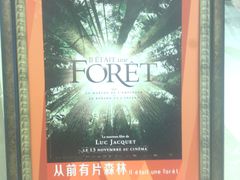-金逸影城(武汉人信汇IMAX店)