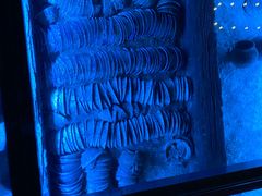 -贝林大翅鲸简餐厅(国家海洋博物馆店)