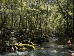 -叠溪松坪沟景区