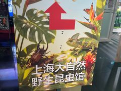 -上海大自然野生昆虫馆(东方明珠·爬宠昆虫探索中心)