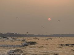 -老虎石海上公园