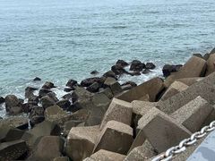 -清水湾旅游度假区