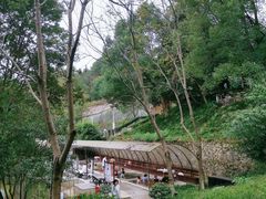 -三江森林温泉度假区