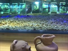 -趣陶陶艺手工坊(新世界百货重庆店)