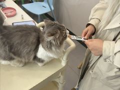 -牧马人宠物医院