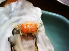 明档先开生蚝扇贝-蚝英雄·自助烤蚝(建设路店)