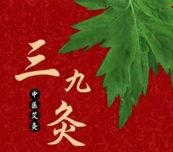 -安吉拉青春化管理中心