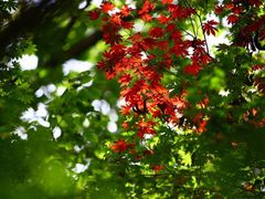 -丹东天桥沟景区