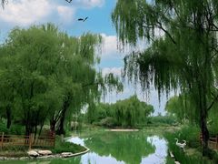 -燕郊植物园