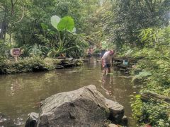 -成都市活水公园