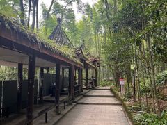 -缙云山景区