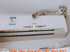 -潮汕裕成莲藕(泰沙路店)