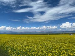 -青海湖国家重点风景名胜区