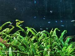 -上海海洋水族馆