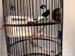 -清真·京华源铜锅涮肉(丰庆店)