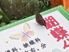 -上海大自然野生昆虫馆