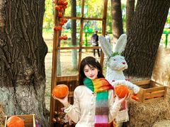 -长白岛森林公园