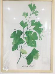 大堂-安那般那皮肤年轻化ANAPANA