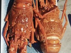 -渔舶汇蒸汽活海鲜·榴莲自助(领展中心城店)